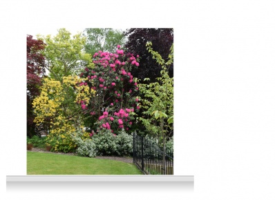 2-Drop Scenic Mural - Sussex Garden (240cm)