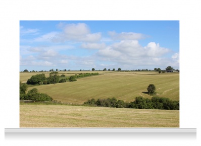 3-Drop Scenic Mural - Leicestershire Fields (240cm)
