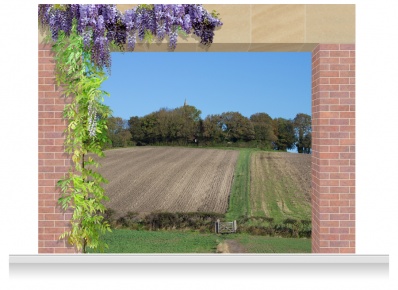 3-Drop Scenic Mural - Northamptonshire Field (280cm)